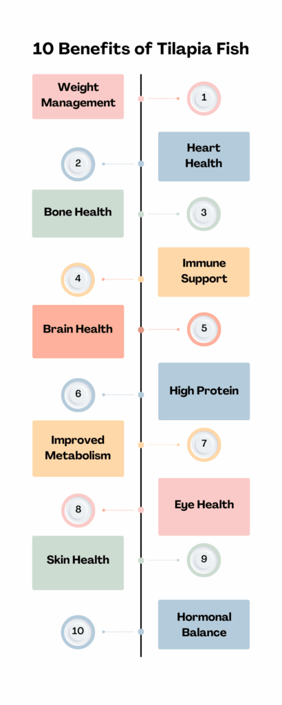 infographics showing tilapia fish benefits